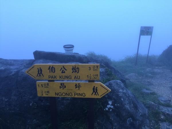 热门交流平台巫师3秘籍控制台代码,快来问答解惑!